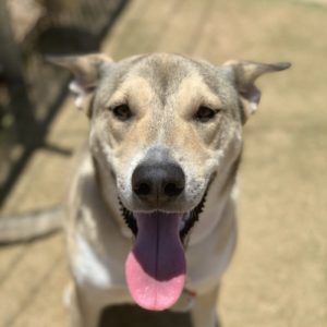 Picture of Zoey