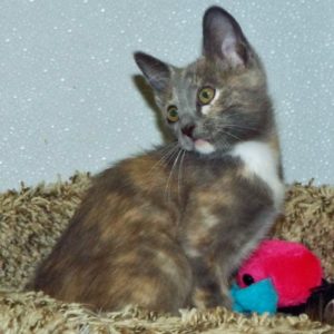 Picture of Maggie