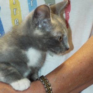 Picture of Maggie