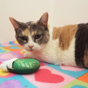 Picture of Matilda