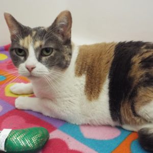 Picture of Matilda