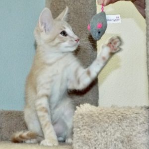 Picture of Max