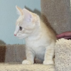 Picture of Max