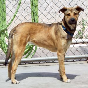 Picture of Samantha