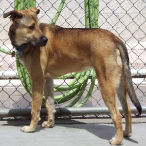 Picture of Samantha