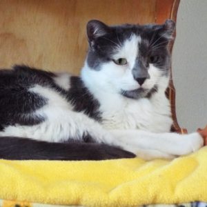 Picture of Mia