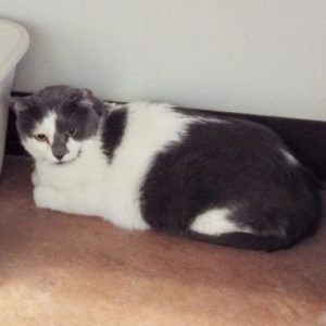 Picture of Mia