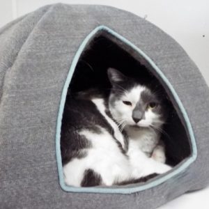Picture of Mia
