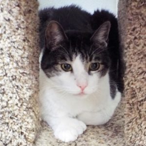 Picture of Neil Purr