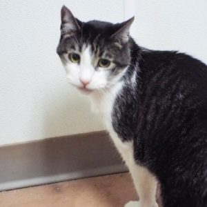 Picture of Neil Purr