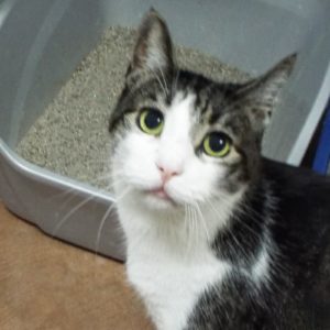 Picture of Neil Purr