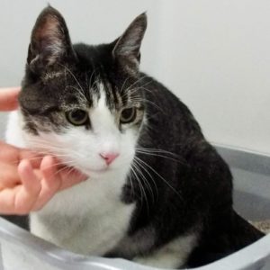 Picture of Neil Purr