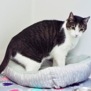 Picture of Neil Purr