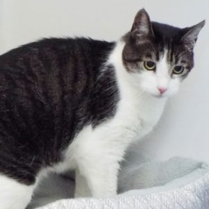 Picture of Neil Purr