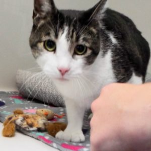 Picture of Neil Purr