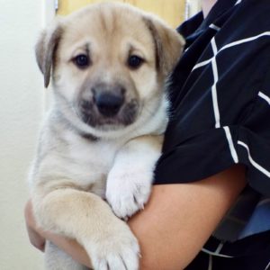 Picture of Zoey