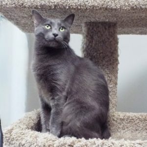Picture of Yeti