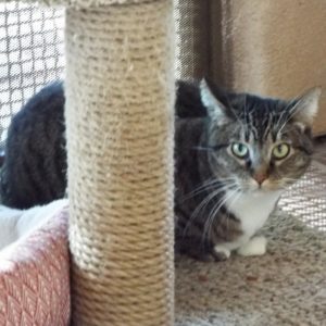 Picture of Abby