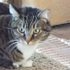 Picture of Abby