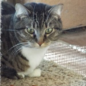 Picture of Abby