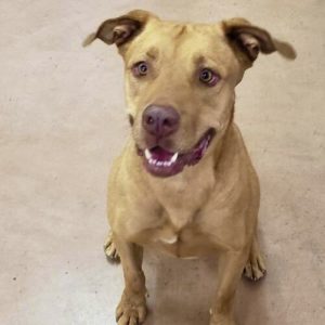 Picture of Jason