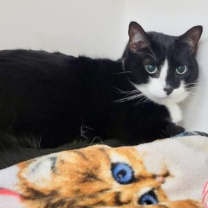 Picture of Lily