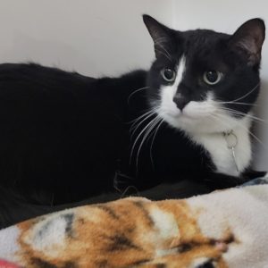 Picture of Lily