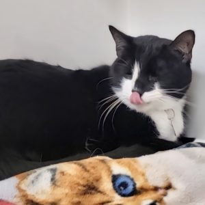 Picture of Lily
