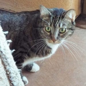 Picture of Abby