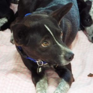 Picture of Athos