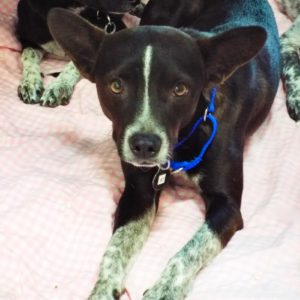 Picture of Athos