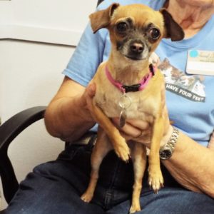 Picture of Chiquita