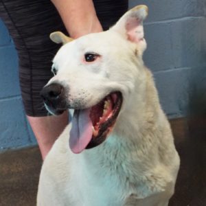 Picture of Ghost