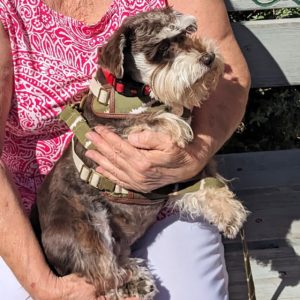Picture of Heidi