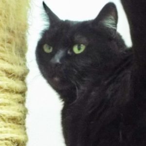 Picture of Lucy