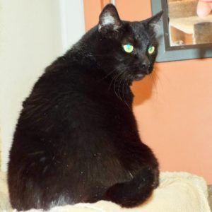 Picture of Lucy