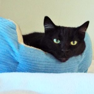 Picture of Lucy