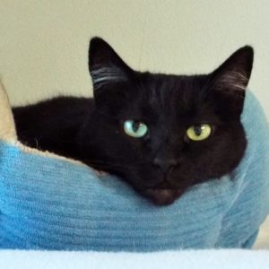 Picture of Lucy