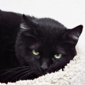 Picture of Lucy