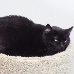 Picture of Lucy