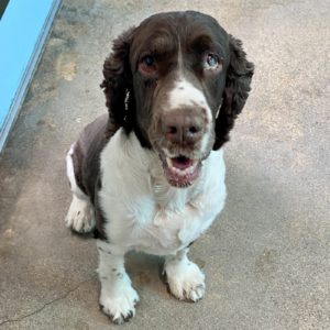 Picture of Maggie