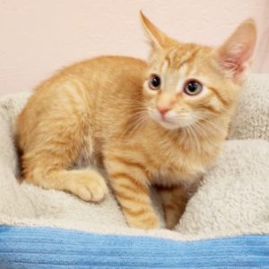 Picture of Philippe