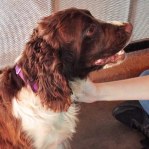 Picture of Maggie