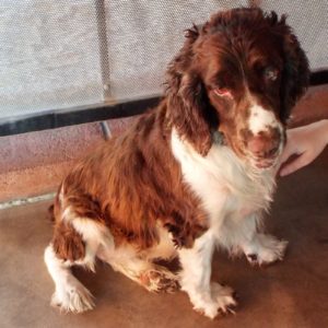 Picture of Maggie