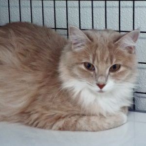 Picture of Tina