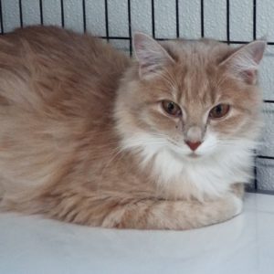 Picture of Tina