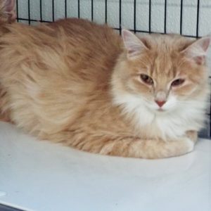 Picture of Tina