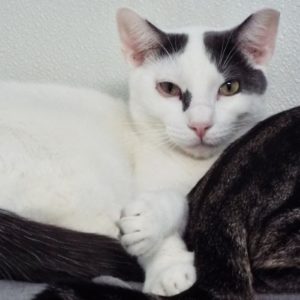 Picture of Welby