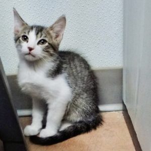 Picture of Zion