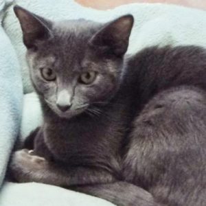 Picture of Beatrix